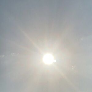 Meet your Posher, Marie